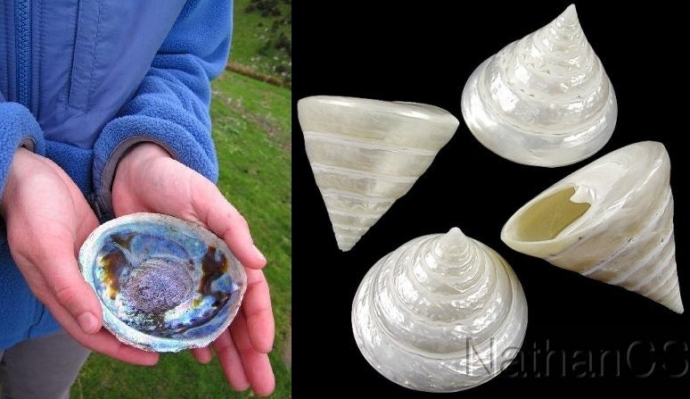 Catholic St Rita Rosary Troca Shell Inlaid w Paua Hand Made Beads - Unique